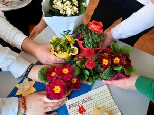 Nakupljene rože (primule, kalanhoje, narcise)