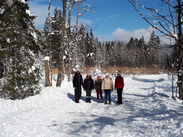 Zimski športni dan, Kranjska Gora 30.1.2019