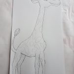 Žirafa, narisana s svinčnikom. Avtor: Tomaž