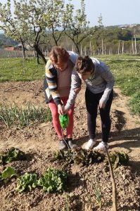 Milena pomaga pri domačih opravilih - zaliva rastline na domačem vrtu.