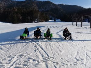 ŠVN Kranjska Gora 2022 sankanje