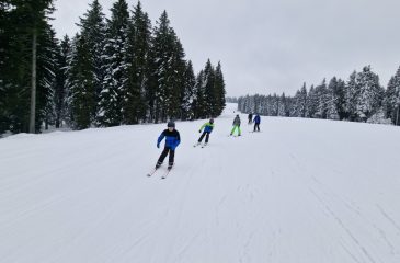 ŠVN 2022 smučanje v koloni